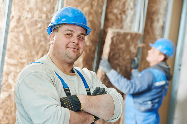 Best Local Insulation Services  in USA